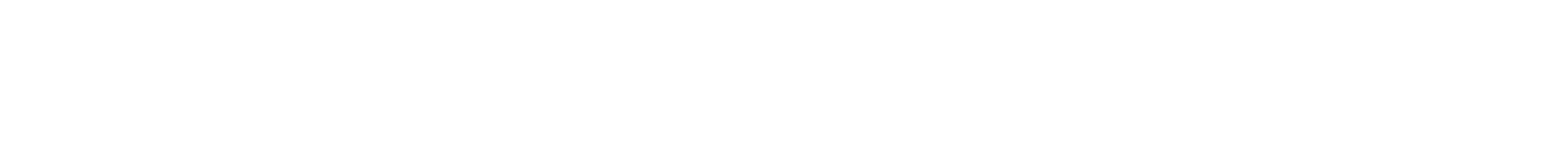 Light Logo