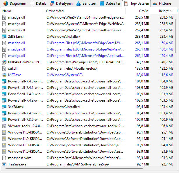 _images/TreeSize-MainWindow_Top_Files.png